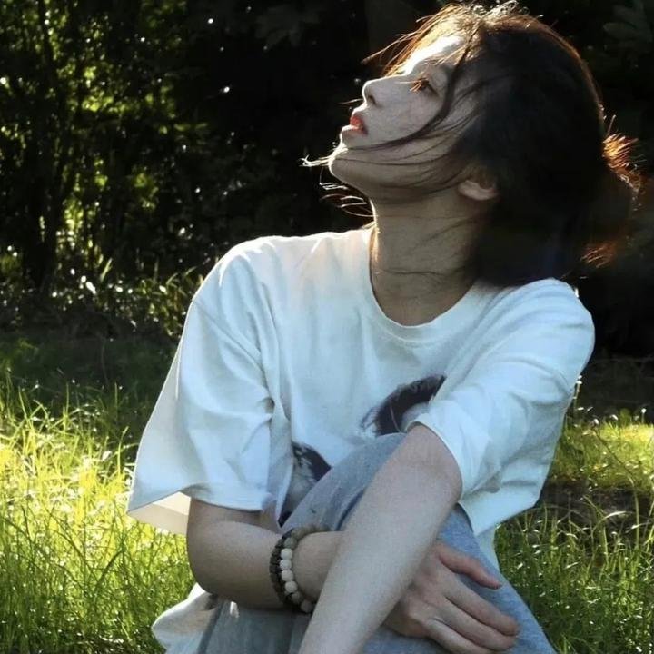 麒麟之翼