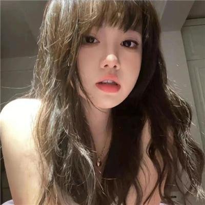 爱是一只猫